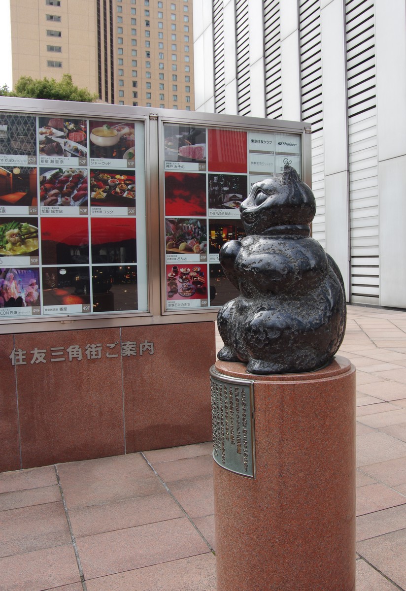 IMGP3137.JPG