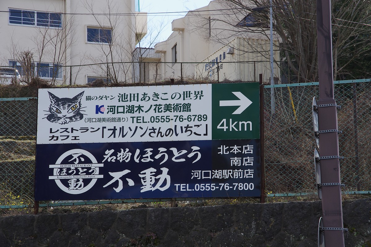 IMGP3560.JPG