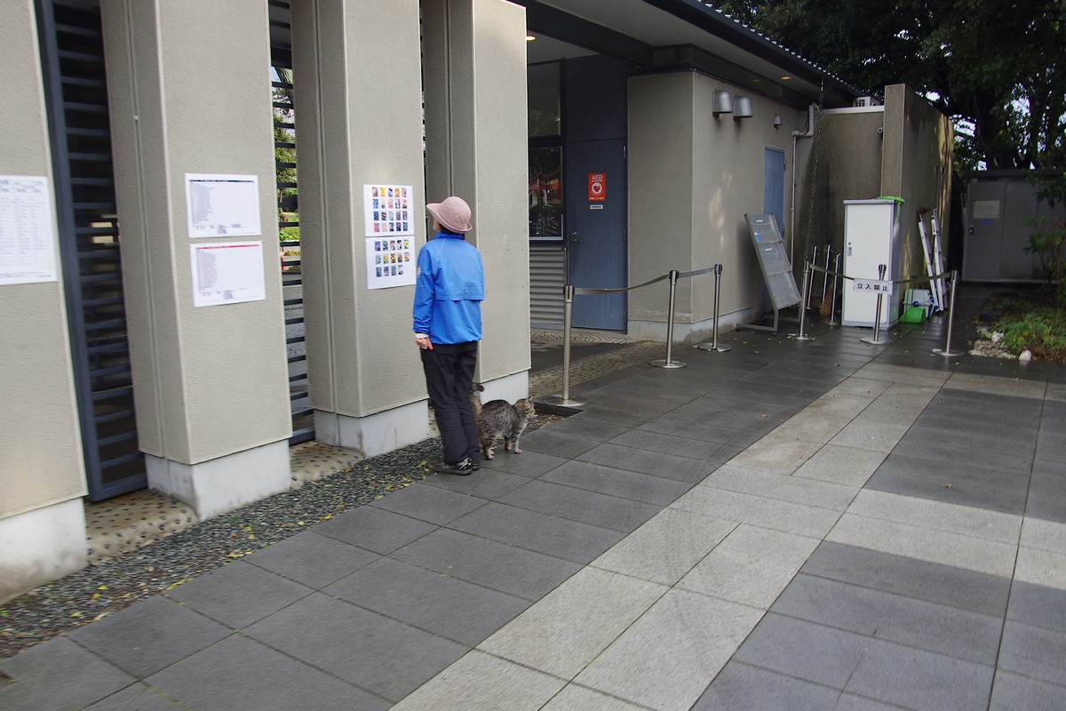 IMGP3829.JPG
