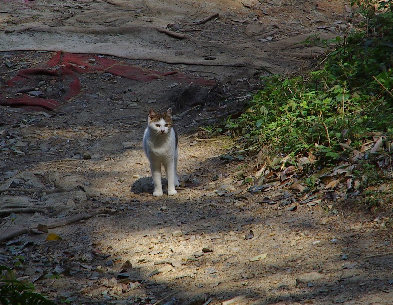 IMGP4389.JPG