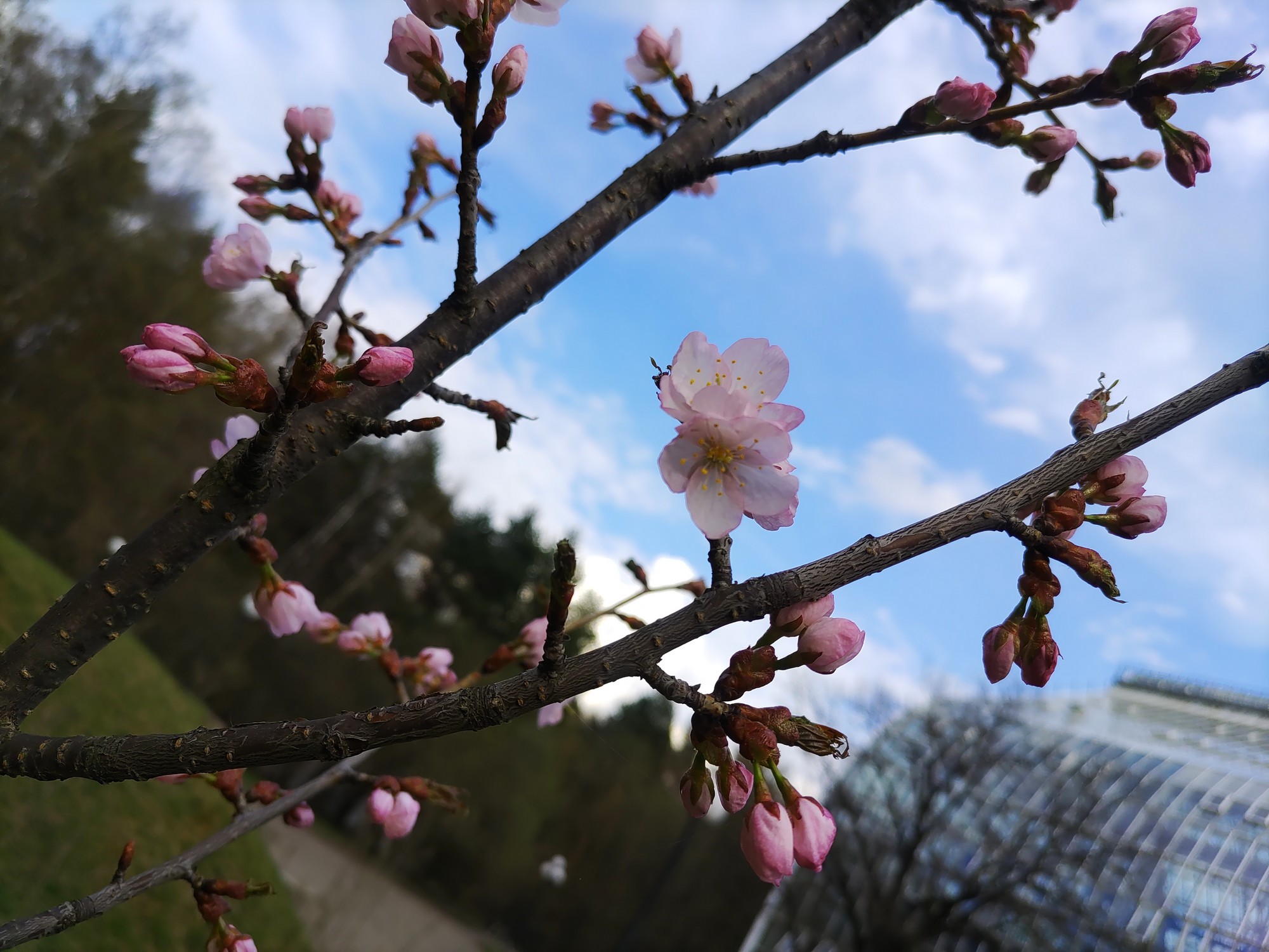 IMG_20250418_161448.jpg
