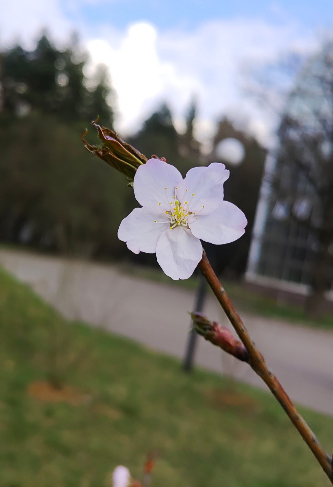 IMG_20250418_161457.jpg