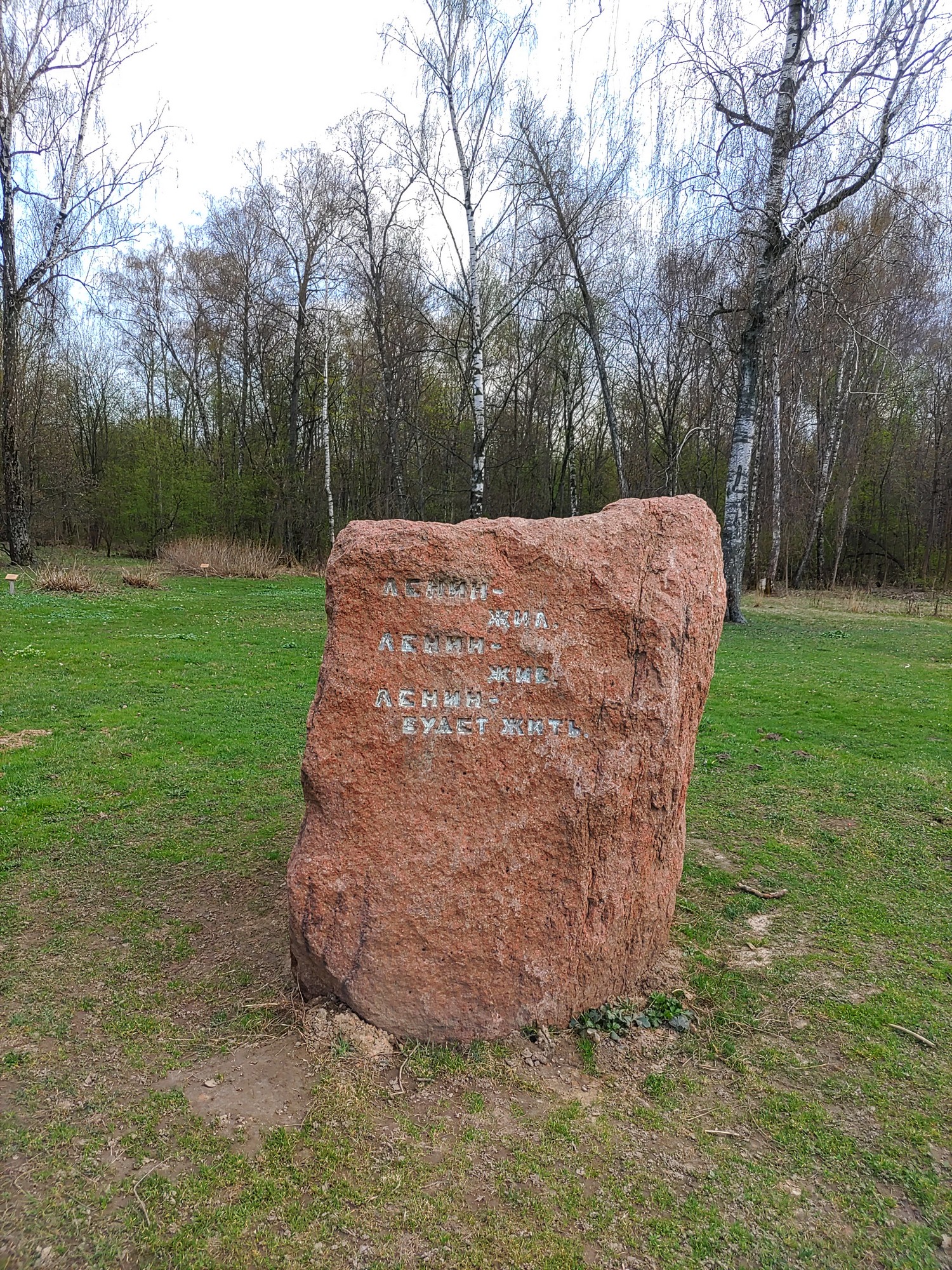 IMG_20250418_162406.jpg